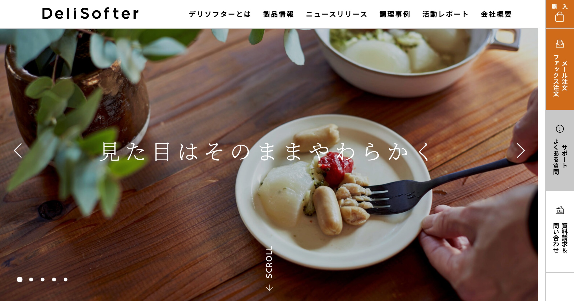 DeliSofter｜デリソフター 公式サイト｜GIFMO Co.,Ltd. | DeliSofter ...